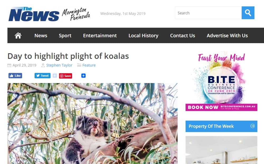 wild koala day 2019 mornington peninsula