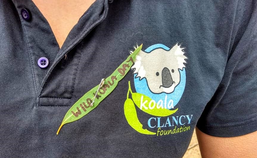 wild koala day 2019 wear gum leaf