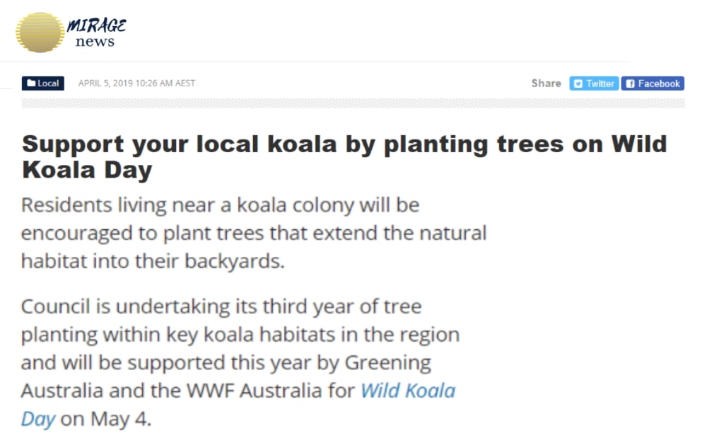 news campbelltown wild koala day tree planting