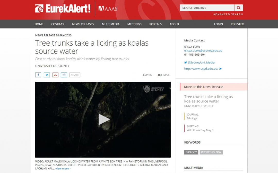 eurekAlert mention Wild Koala Day