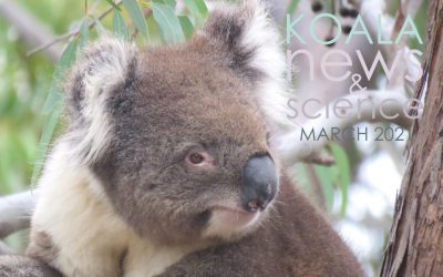 Koala News & Science March 2021