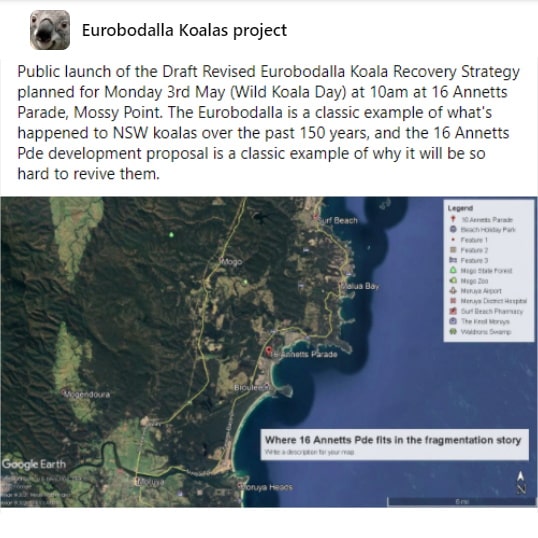 Event wild koala day Eurobodalla NSW