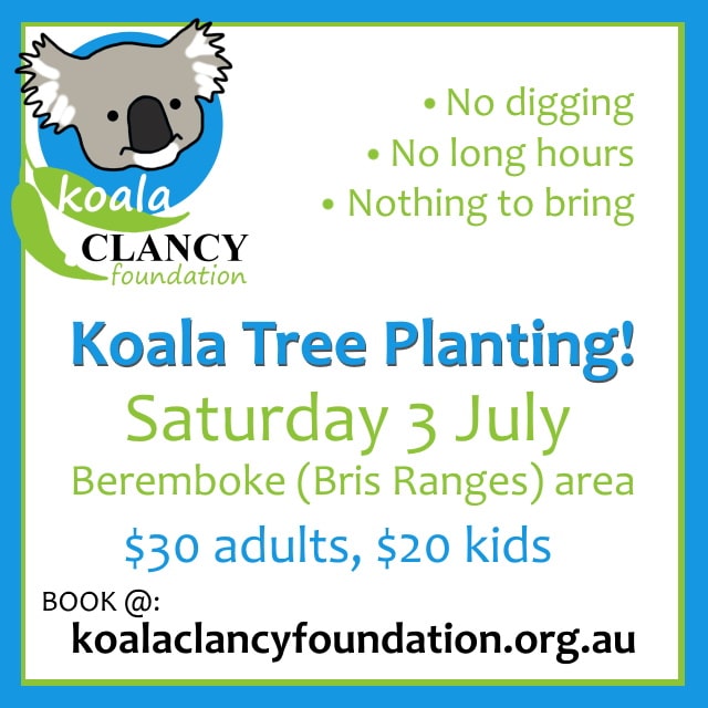 tree planting event for koalas Melbourne