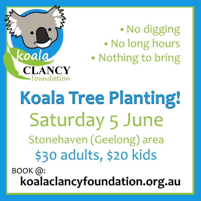 koala tree planting victoria Melbourne