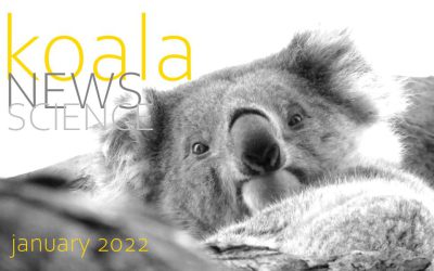 Koala News & Science January 2022