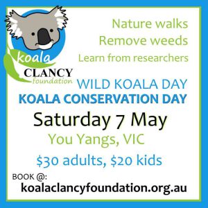 wild koala day 2022 event