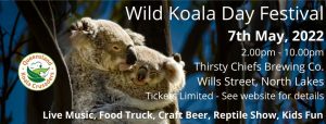 wild koala day festival noosa
