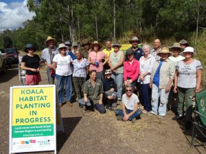 wild koala day 2022 gympie