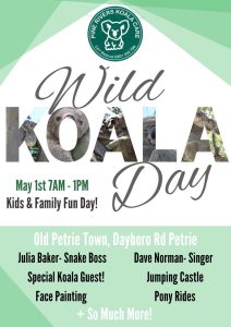 pine rivers qld wild koala day event