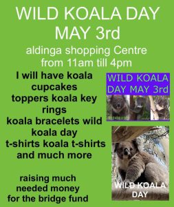 wild koala day fundraiser south australia