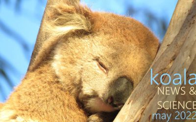 Koala News & Science May 2022