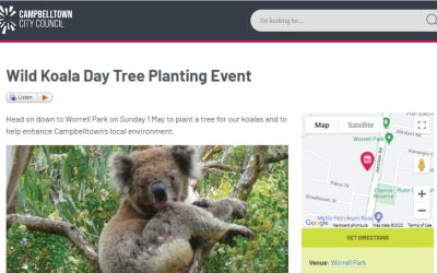 Sydney region Council runs Wild Koala Day event