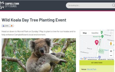 Sydney region Council runs Wild Koala Day event