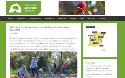 Greater Sydney Landcare mention Wild Koala Day