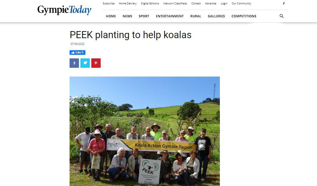 gympie times wild koala day 2022
