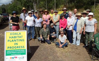 Wild Koala Day 3 May 2022 Results