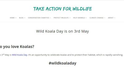 Wild Koala Day on Take Action For Wildlife