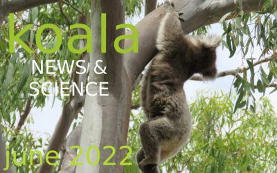 Koala News & Science June 2022