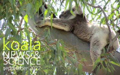 Koala News & Science September 2022