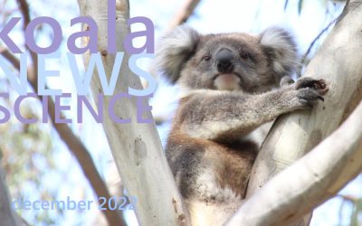 Koala News & Science December 2022