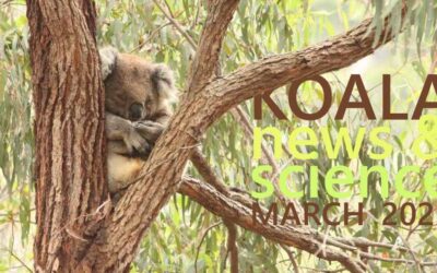Koala News & Science March 2023