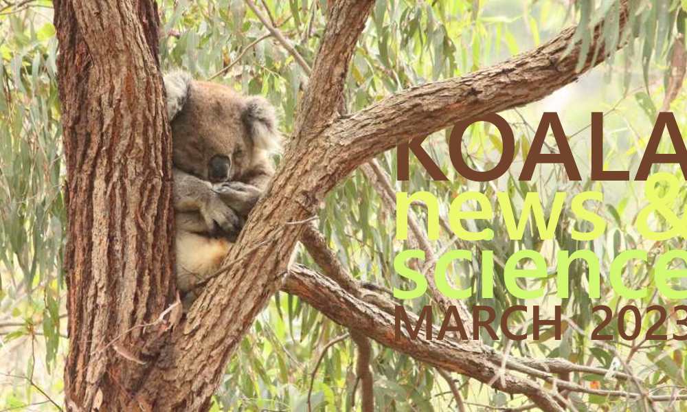 Koala News Science March 2023