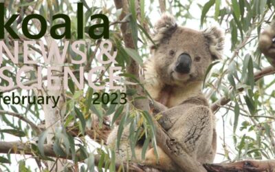 Koala News & Science February 2023
