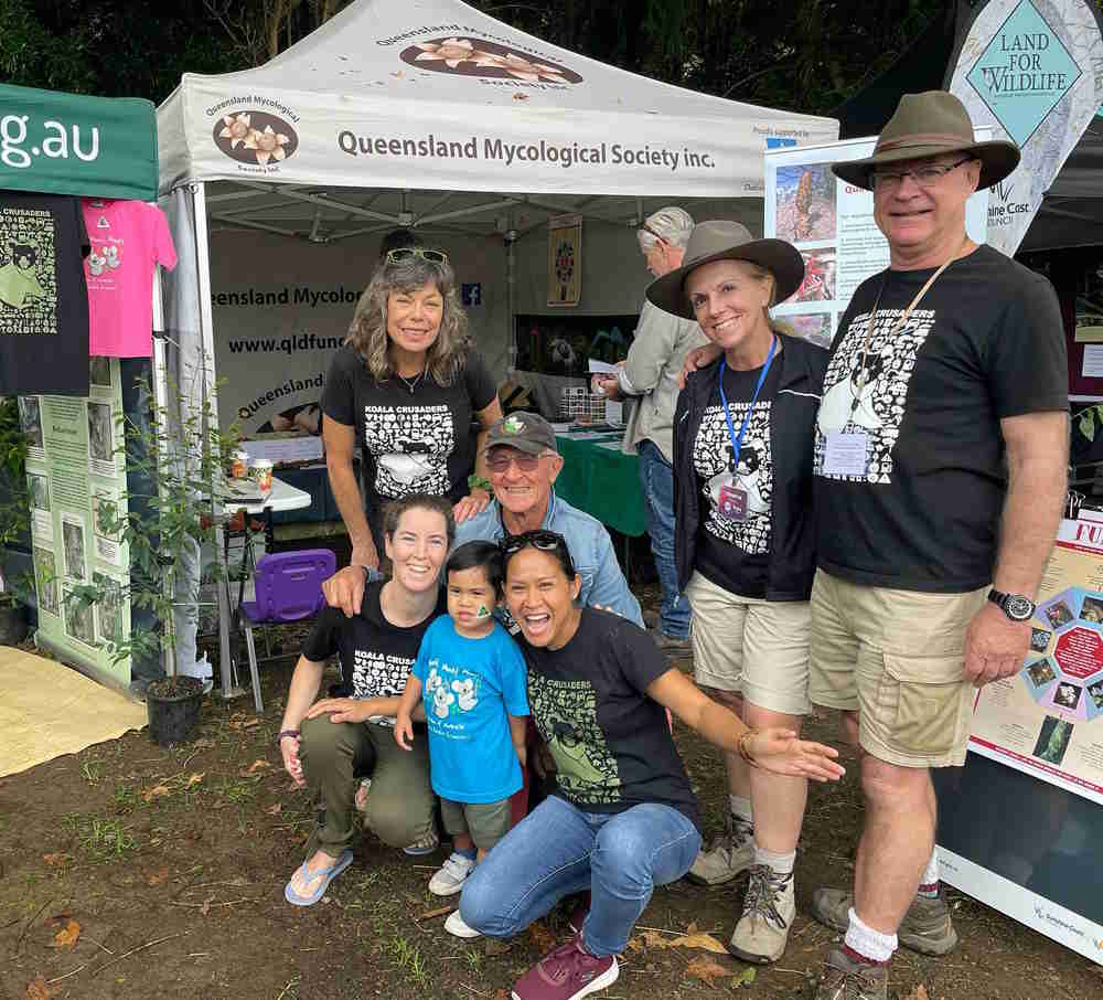 queensland wild koala day