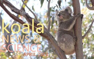 Koala News & Science April 2023