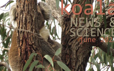 Koala News & Science June 2023