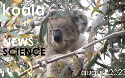 Koala News & Science August 2023