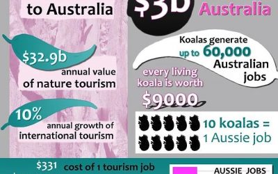 Koala Tourism