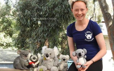 Koala Crusaders