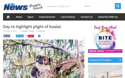 Wild Koala Day in the news in Melbourne