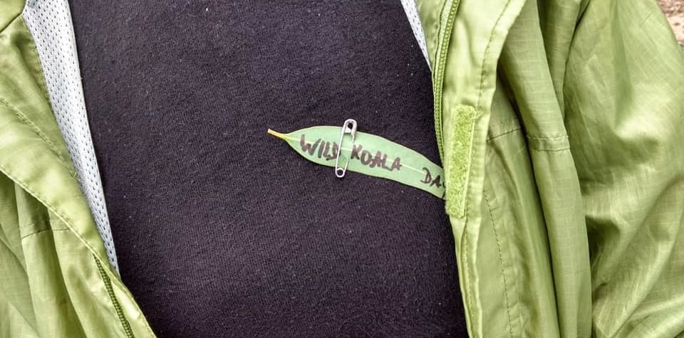 wild koala day gum leaf pin