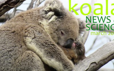 Koala News & Science March 2020