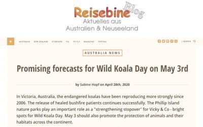 Wild Koala Day mentioned in Germany