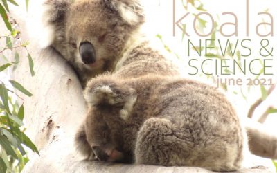 Koala News & Science June 2021