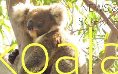Koala News & Science March 2022