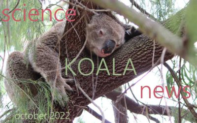 Koala News & Science October 2022