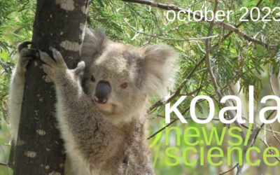 Koala News & Science October 2023