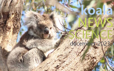 Koala News & Science December 2023