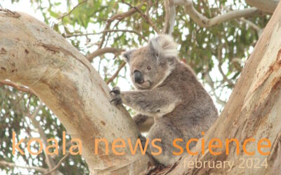 Koala News & Science February 2024