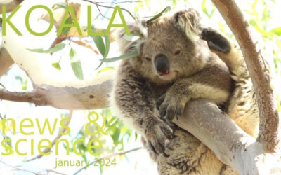 Koala News & Science January 2024