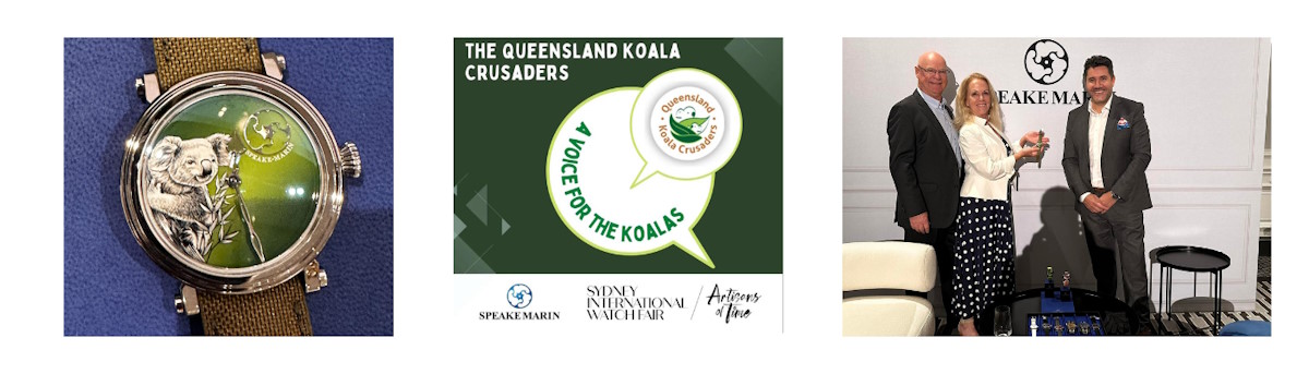 wild koala day watch Queensland Crusaders