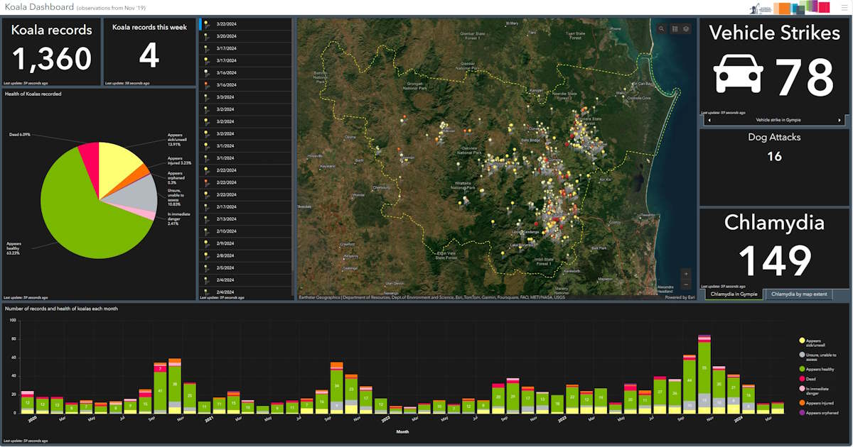 koala gympie data wild koala day
