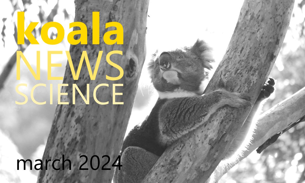 Koala News & Science March 2024
