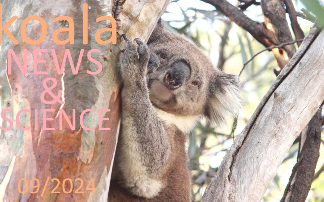 Koala News & Science September 2024