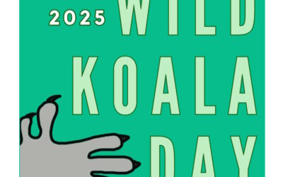 wild koala day tile may 3 2025