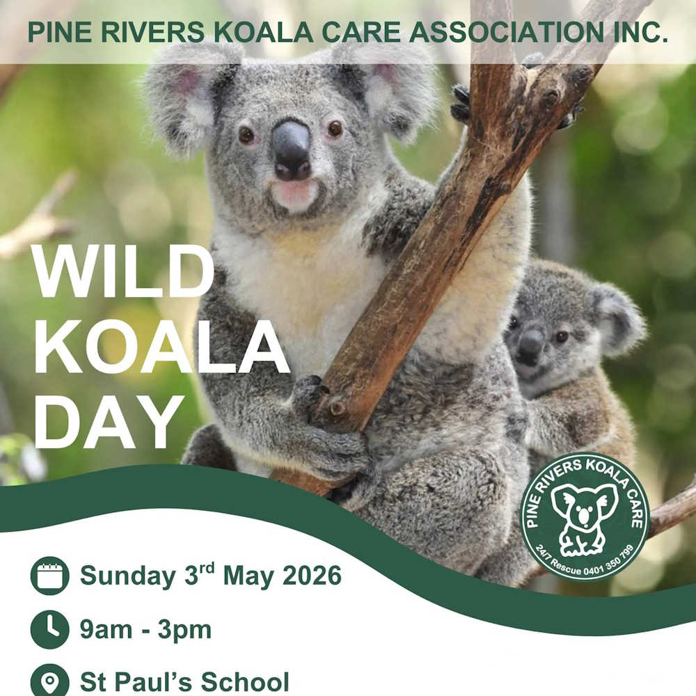 pine rivers wild koala day event